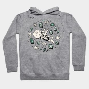 Triceratops Rocks! | Dinosaur Science Art | Aquamarine Palette Hoodie